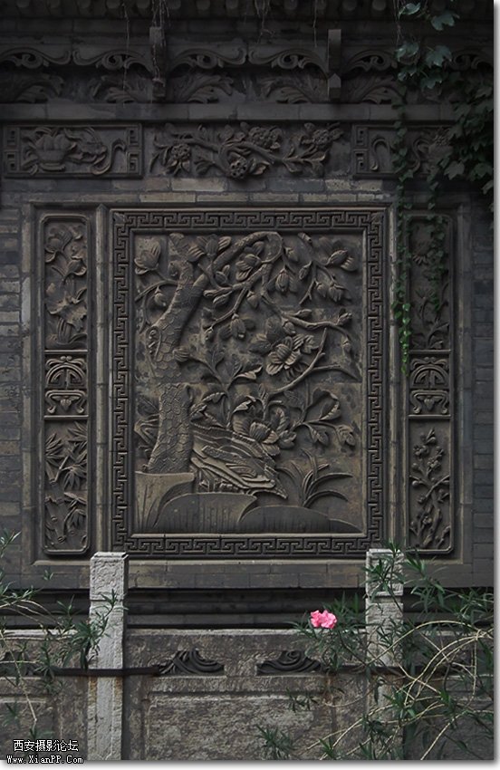 DSCF1657.jpg