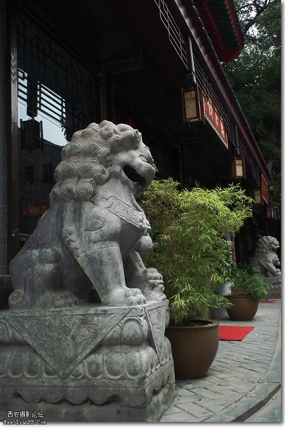 DSCF1679.jpg