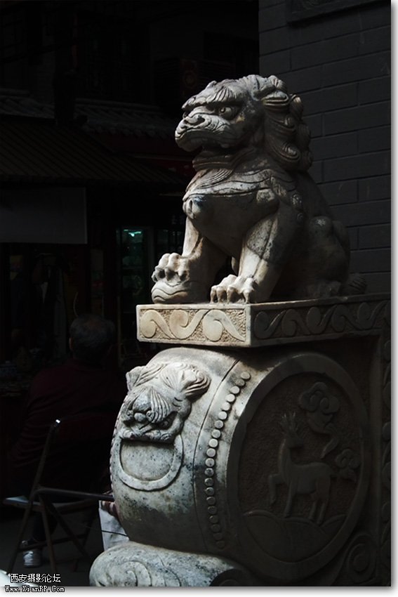 DSCF1684.jpg