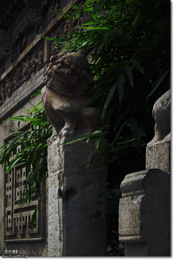 DSCF1714.jpg