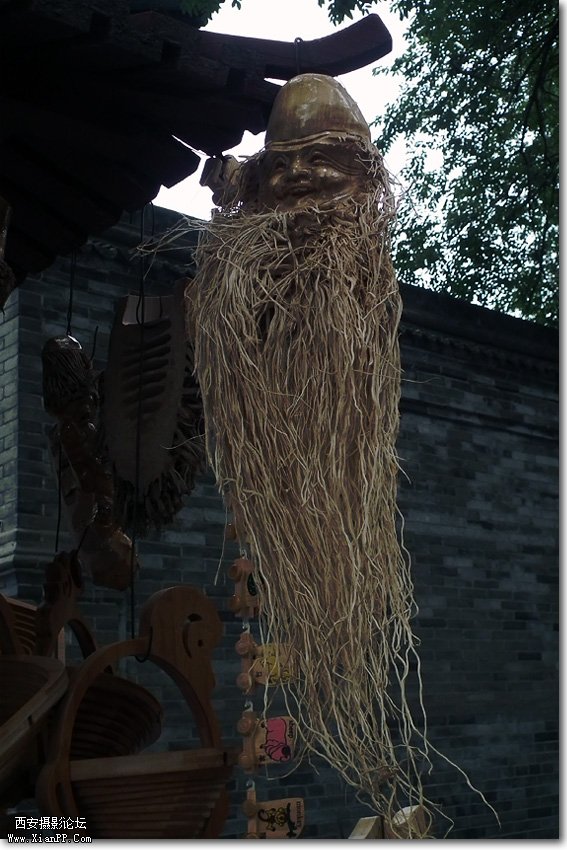 DSCF1719.jpg
