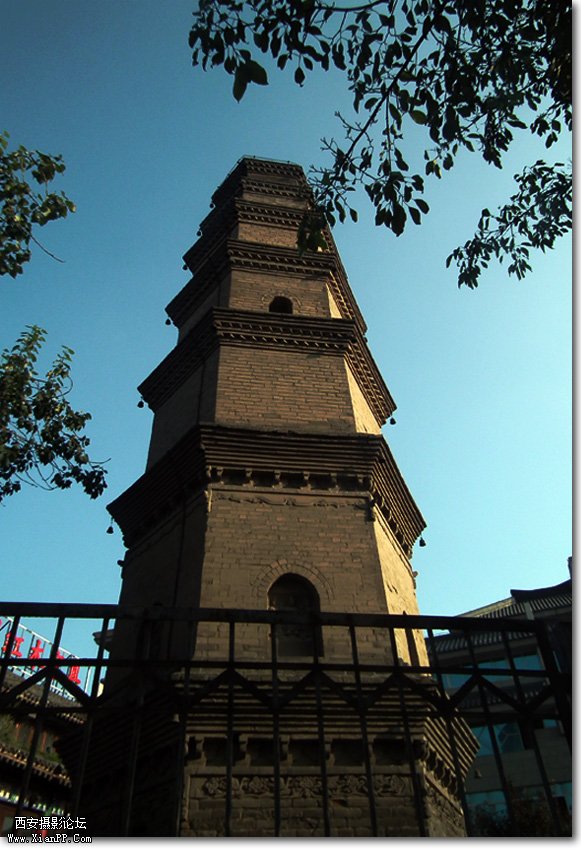 DSCF2715.jpg