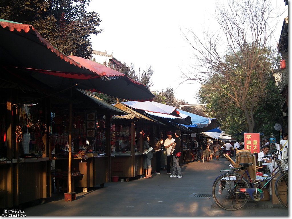 DSCF2735.jpg
