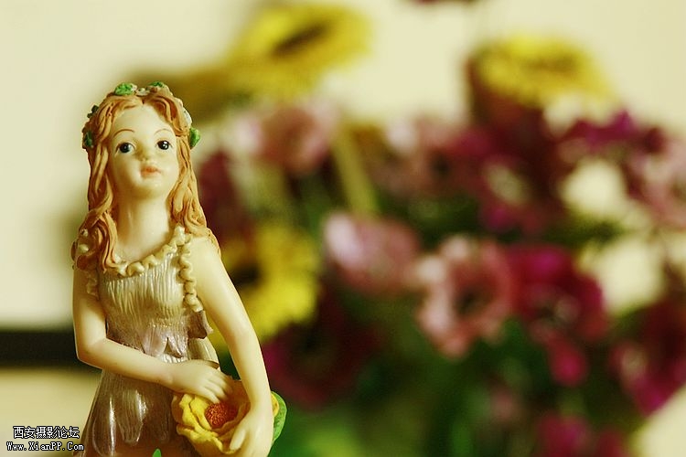 _MG_5554.jpg