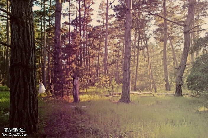 05.jpg