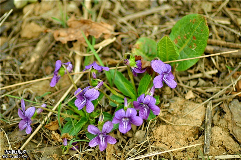 DSC_0776_副本.jpg