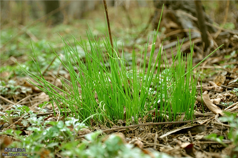 DSC_0783_副本.jpg