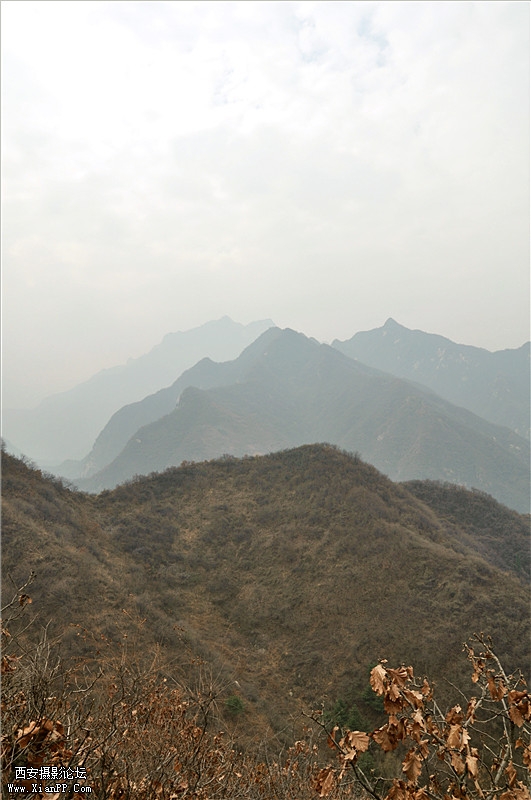 DSC_0789_副本.jpg