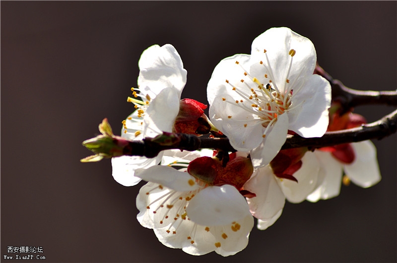 DSC_0390_副本.jpg
