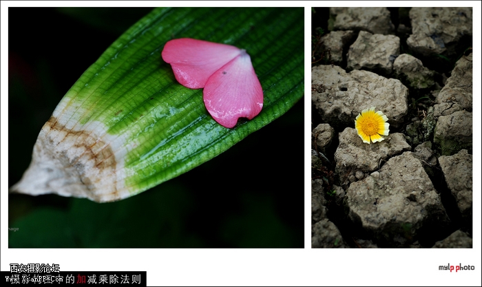 caf1661ed3a84410998d59ee4571b426.jpg