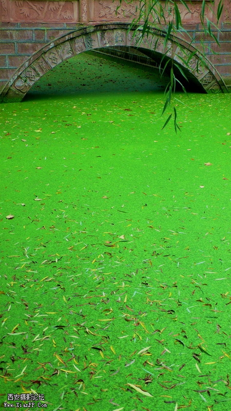 289848_1298898154.jpg
