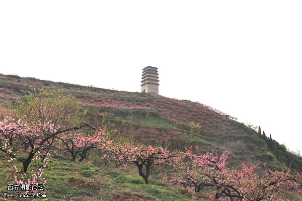 IMG_3487_副本.jpg