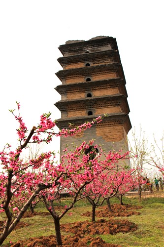 IMG_3396_副本.jpg