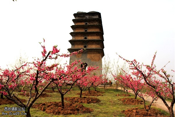 IMG_3394_副本.jpg