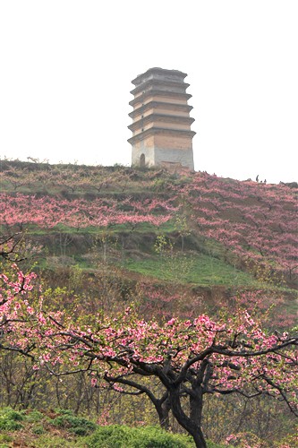 IMG_3479_副本.jpg