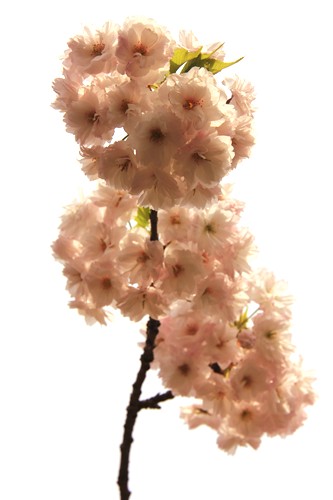 IMG_3178_副本.jpg
