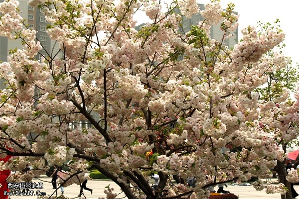 IMG_3182_副本.jpg