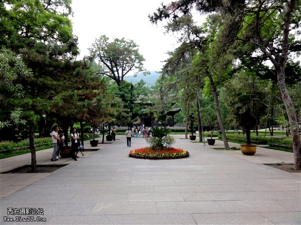 DSC01472_副本.jpg