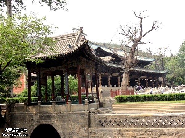 DSC01457_副本.jpg