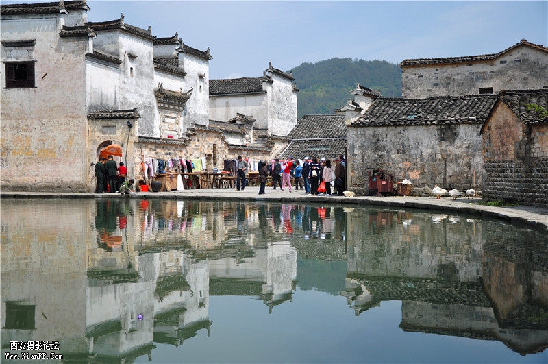 DSC_0086_副本.jpg