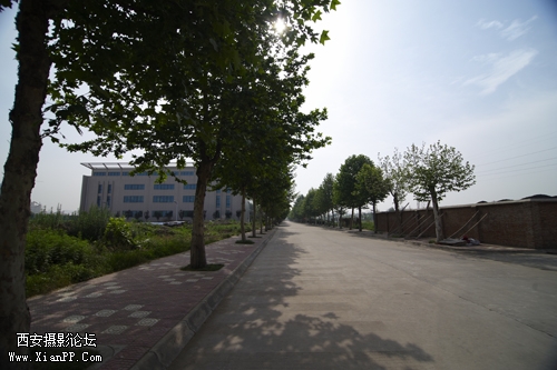 DSC_5457.jpg