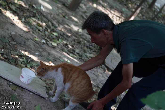 201106102000_调整大小.JPG