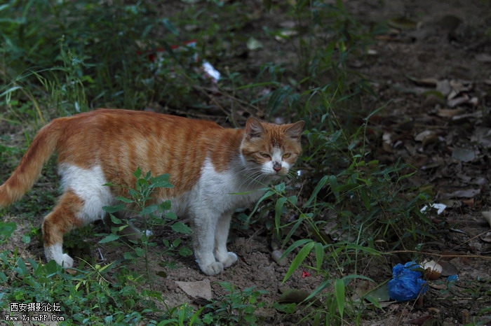201106102001_调整大小.JPG