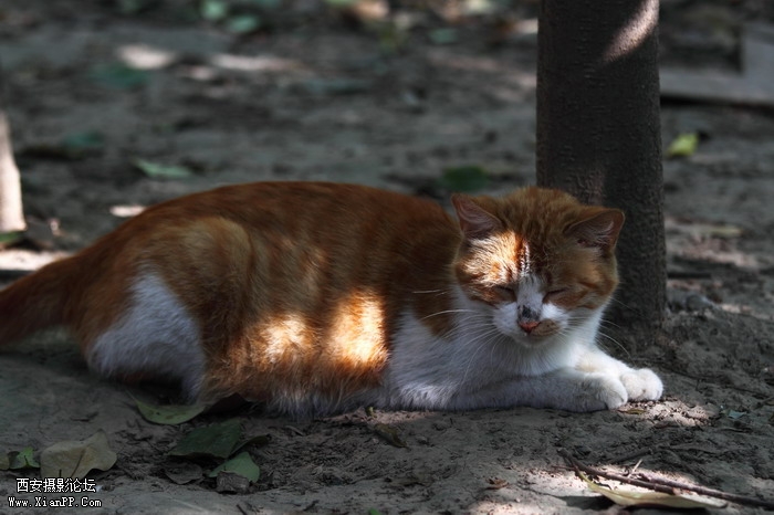 201106102004_调整大小.JPG