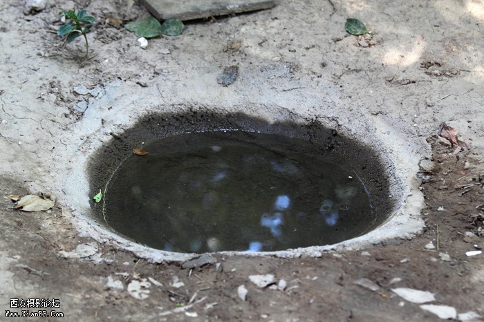 201106102005_调整大小.JPG
