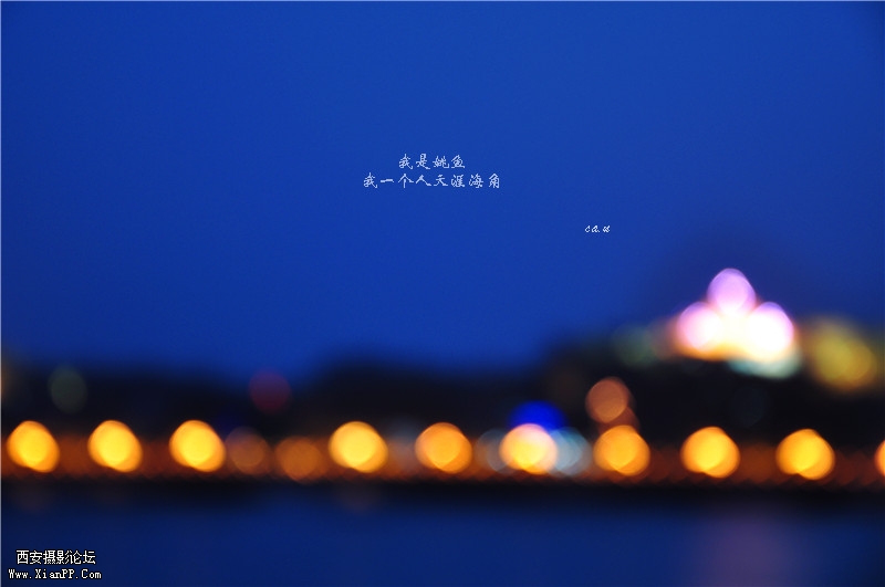 dsc_0462_副本.jpg