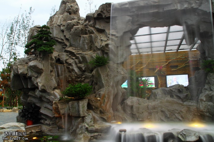 20110617世园会夜景2201_调整大小.JPG