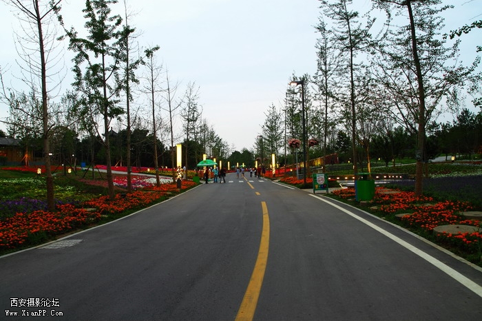 20110617世园会夜景2206_调整大小.JPG