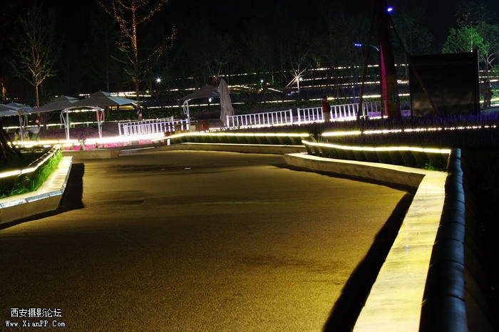 20110617世园会夜景2257_调整大小.JPG