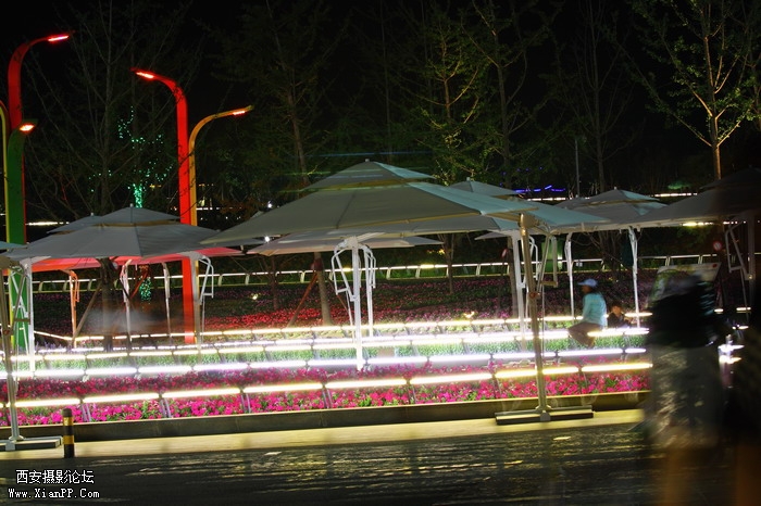 20110617世园会夜景2260_调整大小.JPG