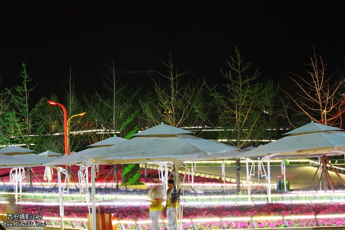20110617世园会夜景2263_调整大小.JPG
