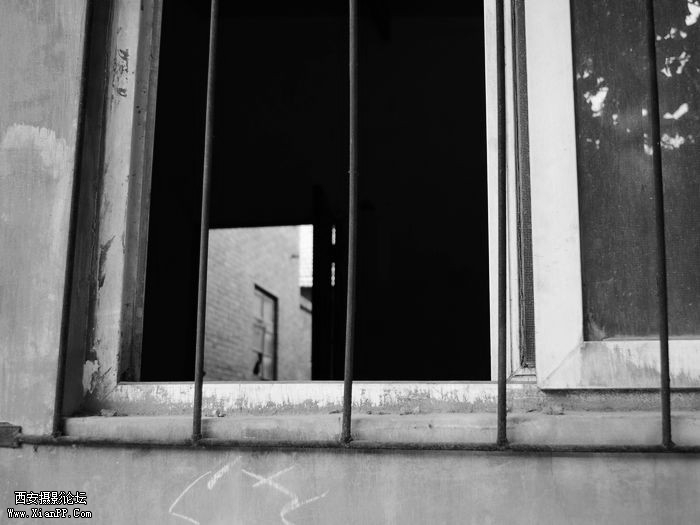 DSC_0039_副本.jpg