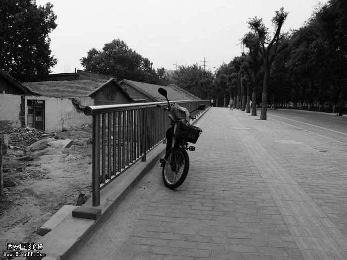 DSC_0050_副本.jpg