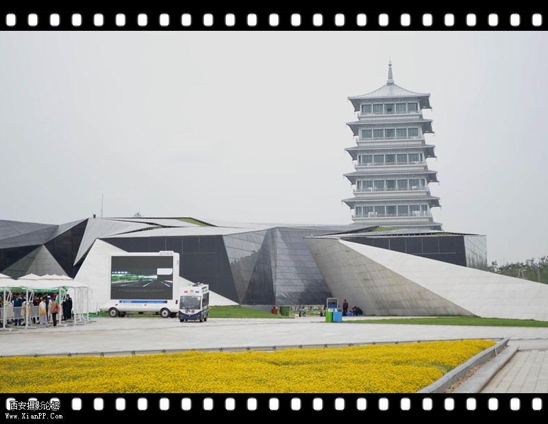 世园会美景