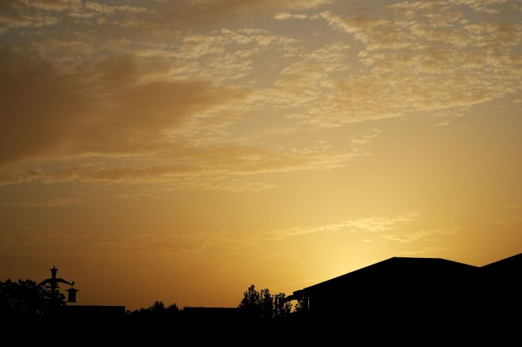 DSC_0102.JPG