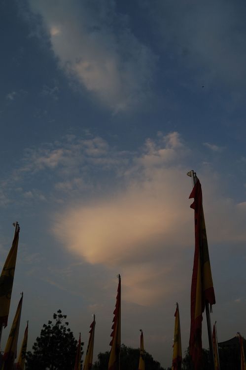 DSC_0118.JPG