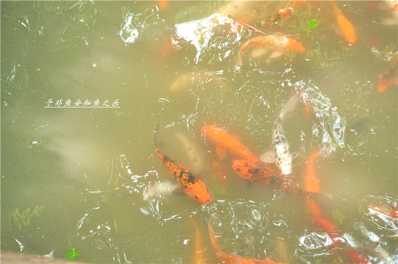 dsc_0030_副本.jpg