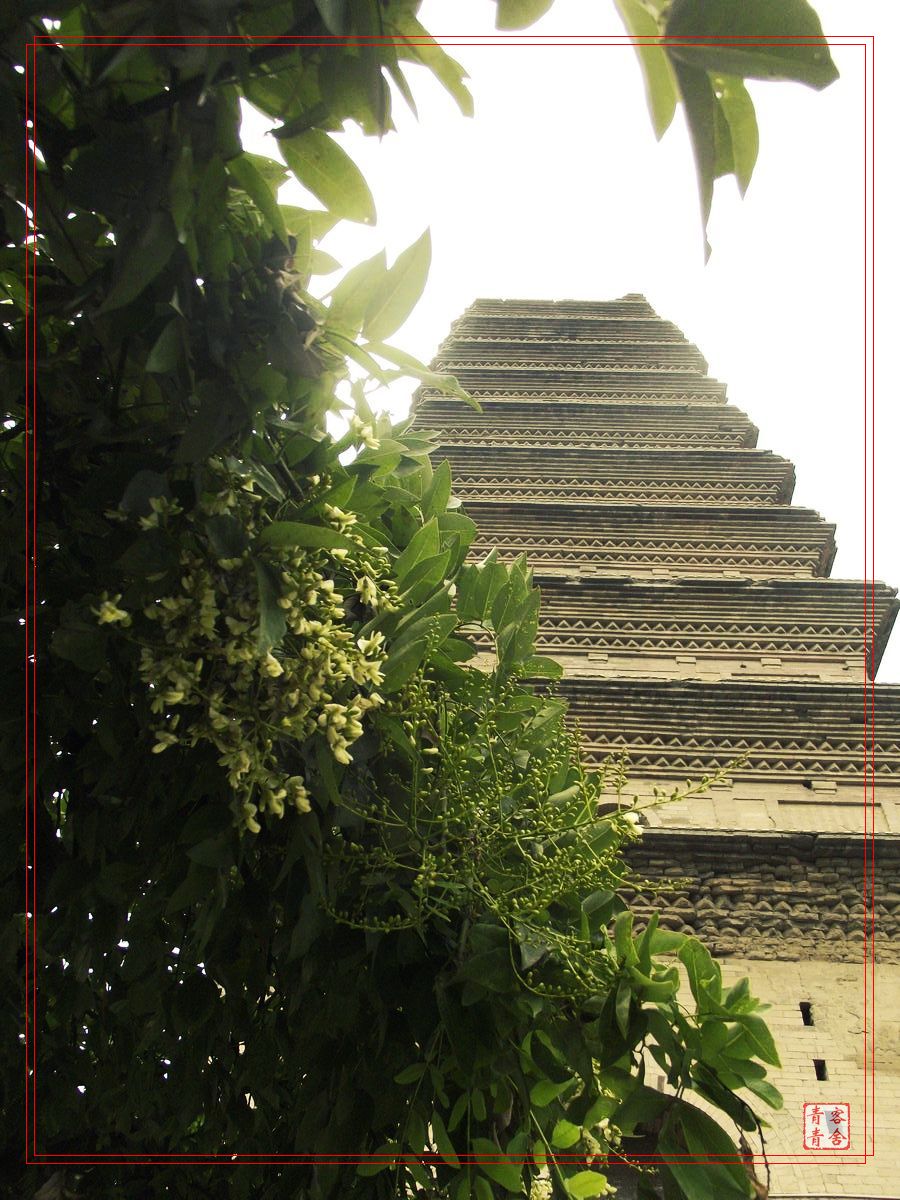 20110730子午峪金仙观休闲腐败174.jpg