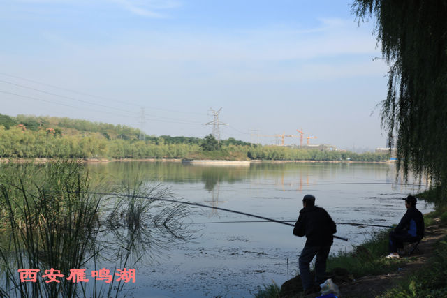 IMG_6806.JPG