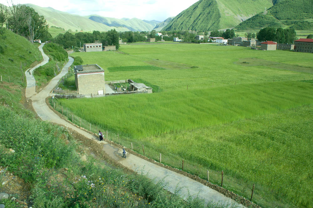 DSC04769-2-2.jpg