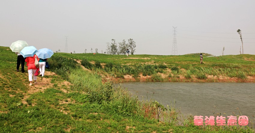 IMG_3840_conew1.jpg