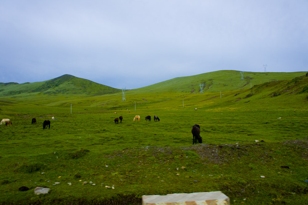 DSC04819-2.jpg