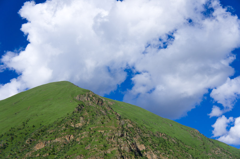 DSC05368-2.jpg