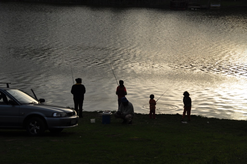 DSC_0701.JPG