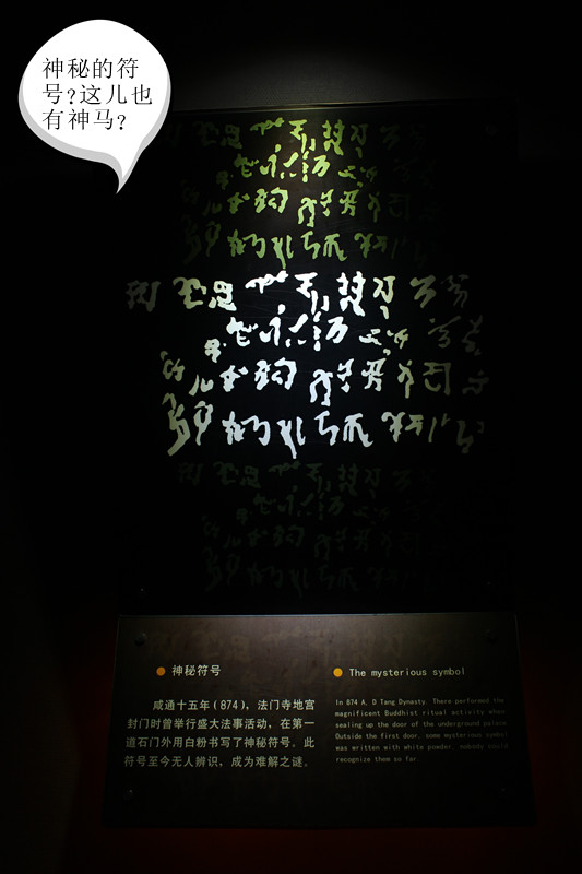IMG_1478_副本.jpg