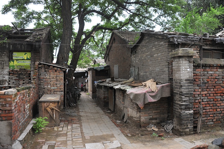 DSC_2892.JPG